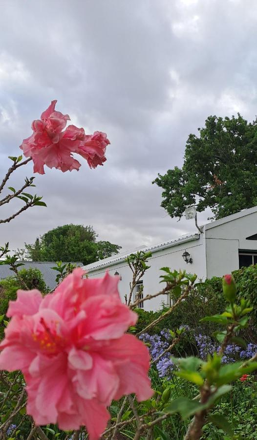 Winterson En Somerkoelte Swellendam Exterior photo